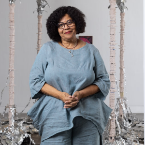 CCS Faculty Sharon Tettegah. Photo Credit: Matt Perko