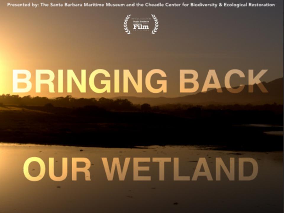 Bringing Back Our Wetland: Community Film Screening & Panel Discussion