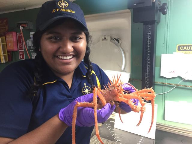 Anishika Bagla holding a King crab on the (E/V) Nautilus.