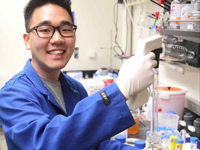 Colin Kim working in Dr. Irene Chen's laboratory