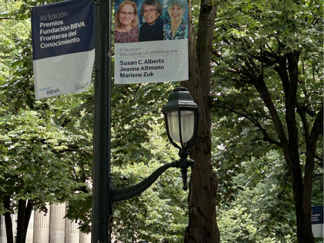 Marlene Zuk '77 (CCS Biology) displayed on a pole sign in Bilbao, Spain announcing the BBVA Foundation Frontiers of Knowledge award winners