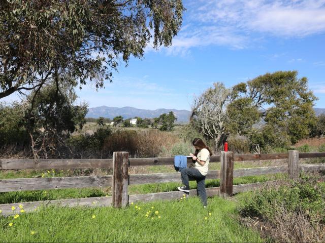 Student writes while looking out at a landscape at Coal Oil Point Reserve