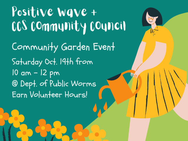 positive wave + ccs community council