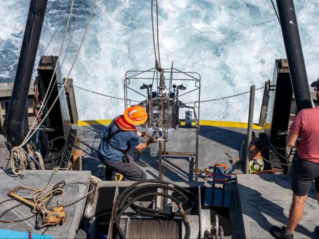 Dave and student conduct field research; Photo Courtesy: Casey Strattan '27 (CCS Marine Science)