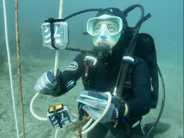 Geri Urgel ‘24 (CCS Biology) conducting research